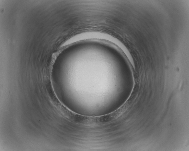 X0000083660272200702261149