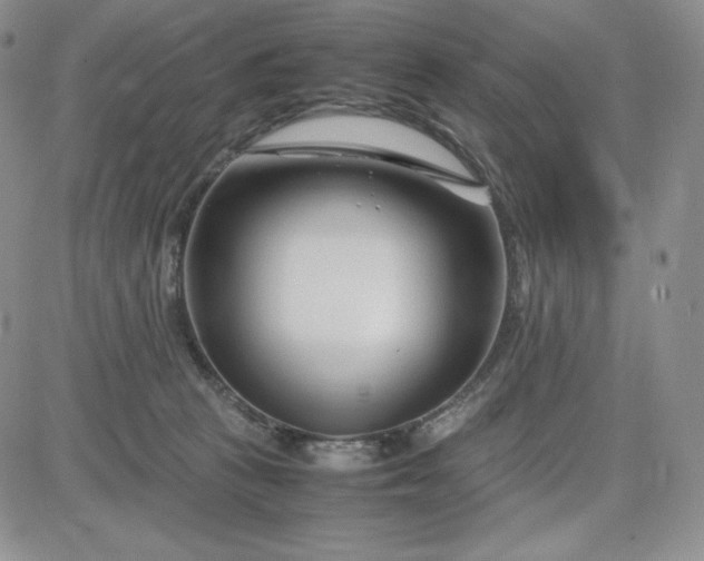 X0000083660273200702261149