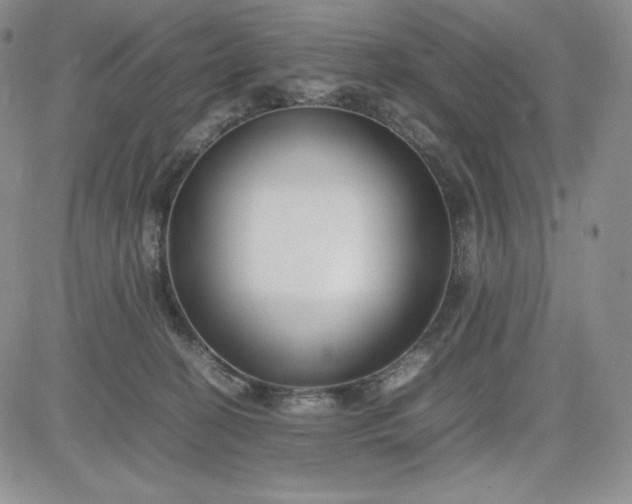 X0000083660274200702261149