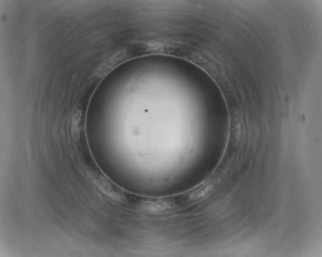 X0000083660275200702261149