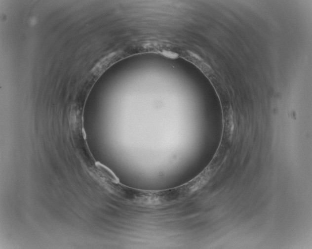 X0000083660276200702261149