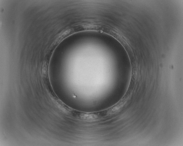 X0000083660277200702261149