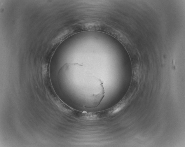 X0000083660278200702261149