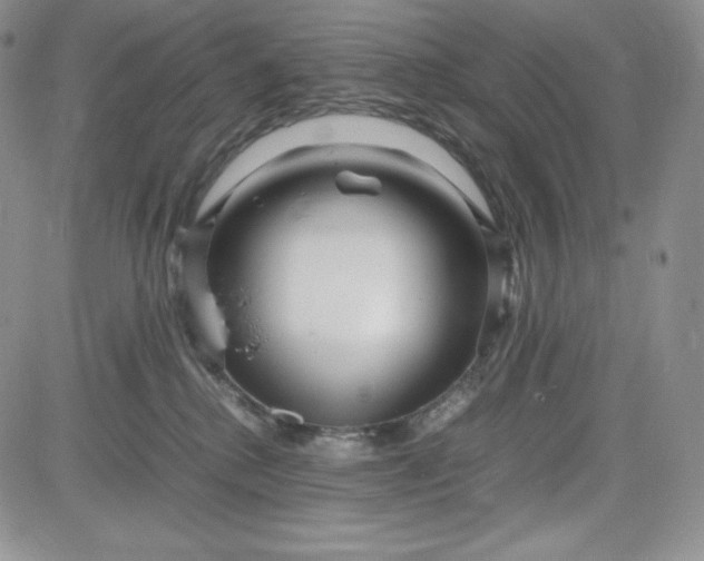 X0000083660280200702261149