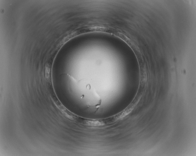 X0000083660281200702261149