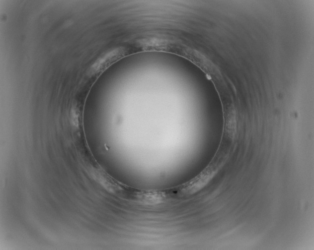 X0000083660282200702261149