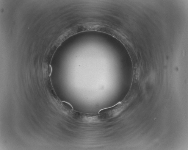 X0000083660283200702261149