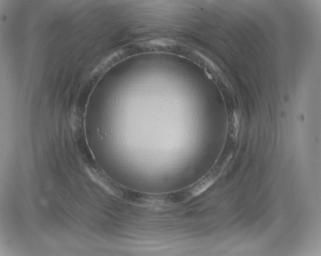 X0000083660284200702261149