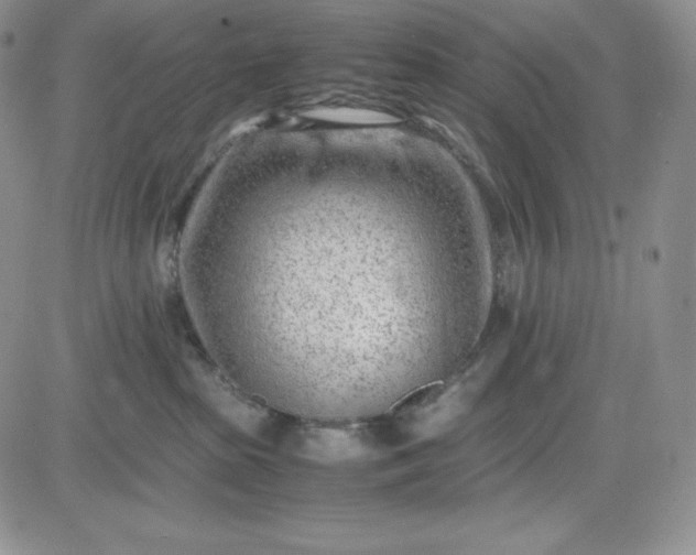 X0000083660285200702261149