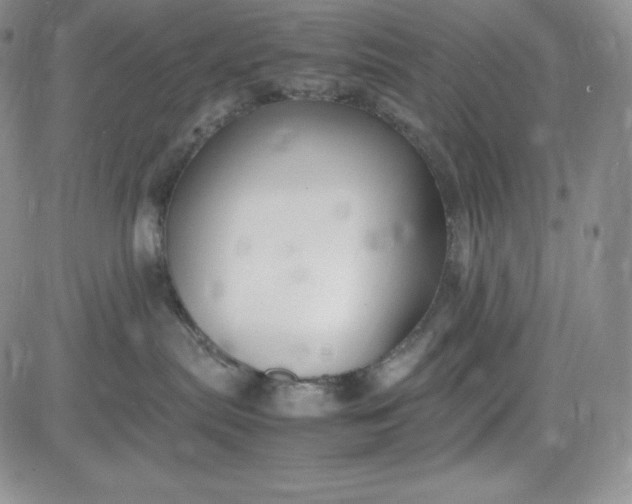 X0000083660287200702261149