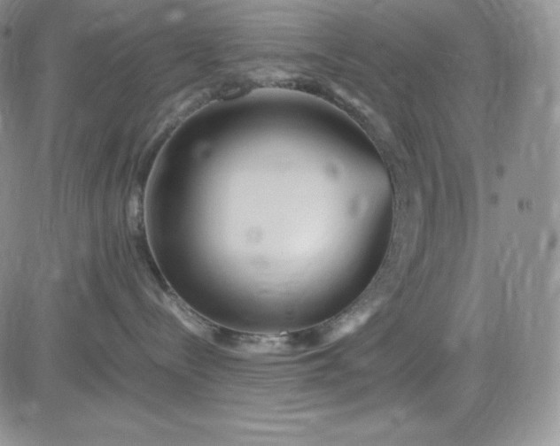 X0000083660288200702261149