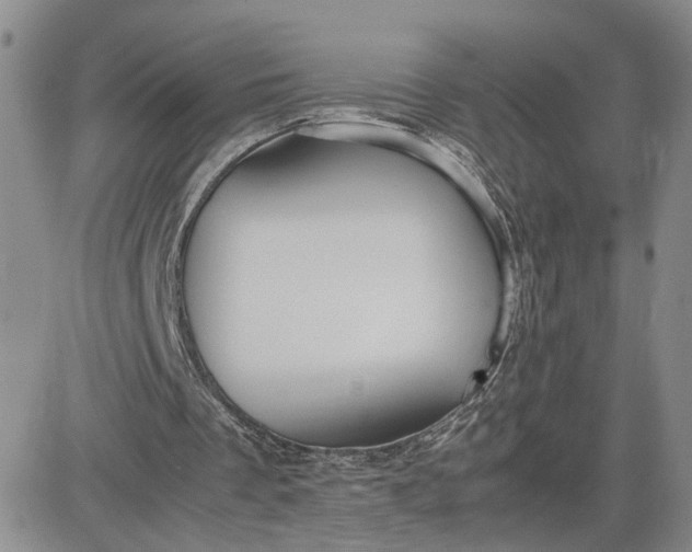 X0000083660289200702261149