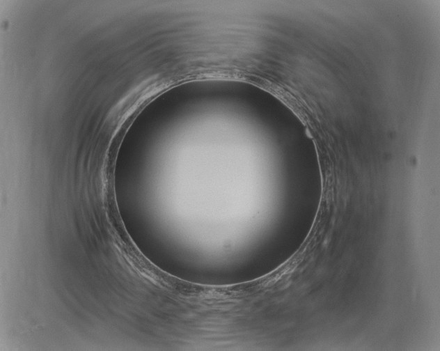 X0000083660290200702261149