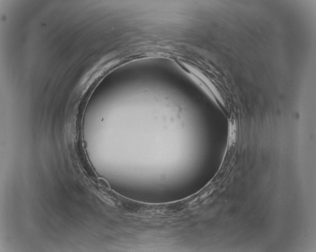 X0000083660291200702261149