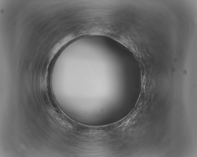 X0000083660292200702261149