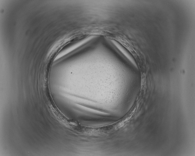 X0000083660293200702261149