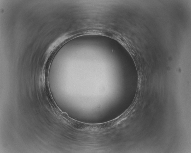 X0000083660294200702261149