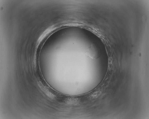 X0000083660296200702261148