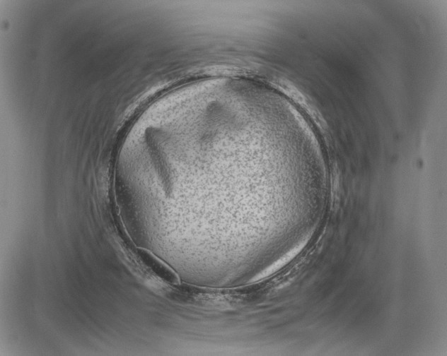 X0000083660297200702261148