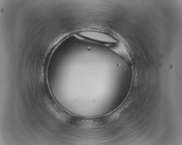 X0000083660298200702261148