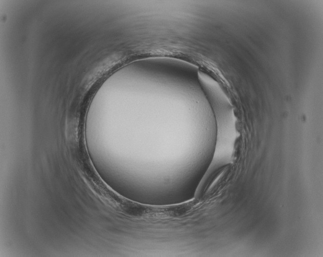 X0000083660299200702261148