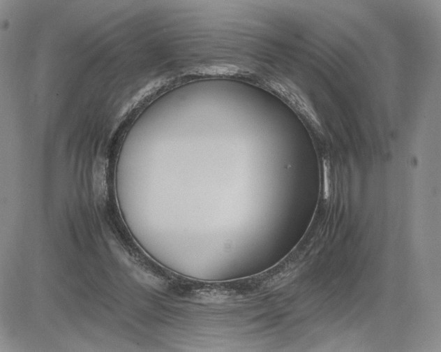 X0000083660300200702261148