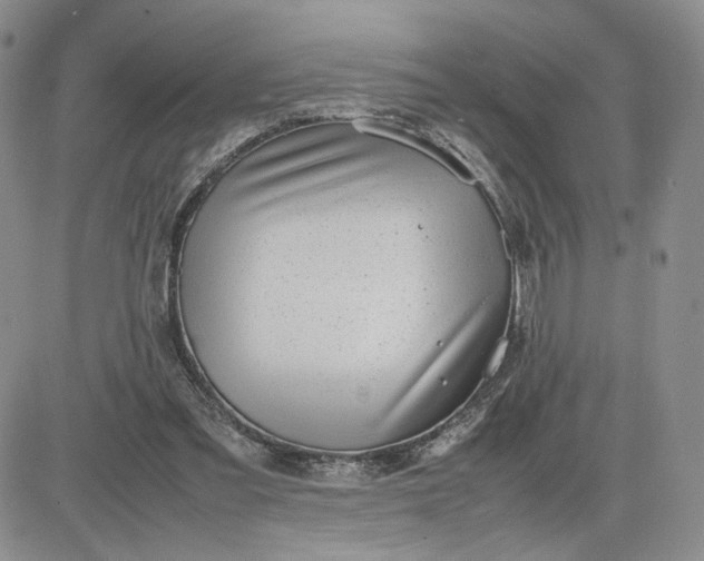 X0000083660301200702261148