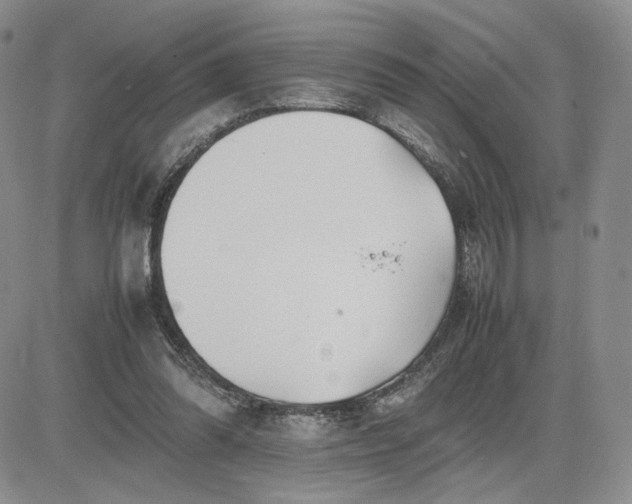 X0000083660302200702261148