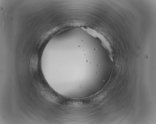 X0000083660304200702261148