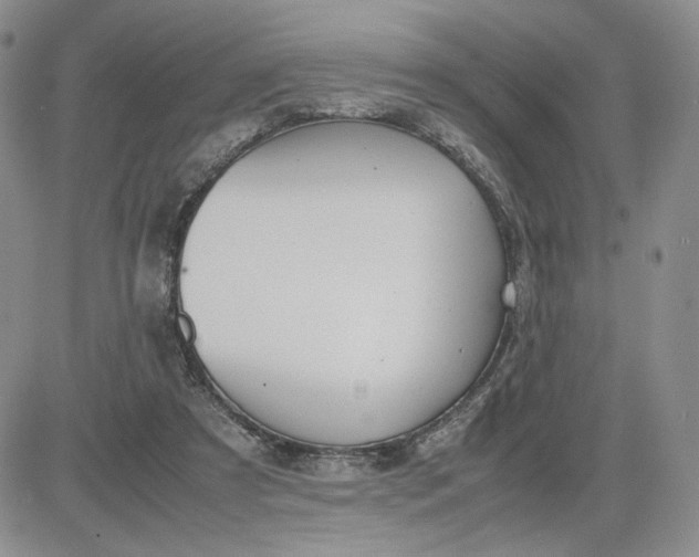 X0000083660305200702261148