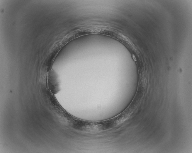 X0000083660307200702261148