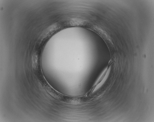 X0000083660308200702261148