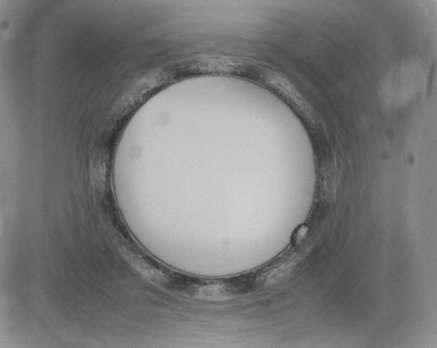 X0000083660309200702261148