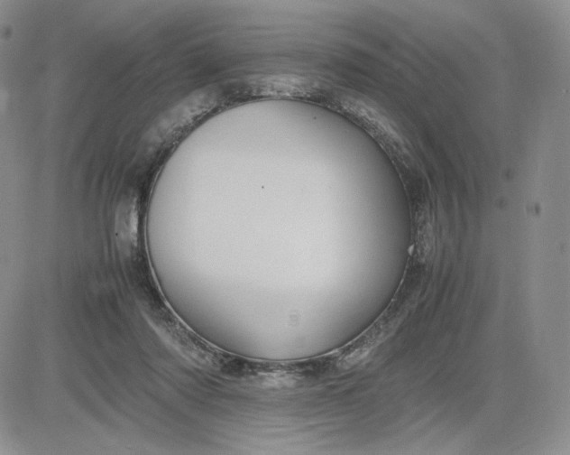 X0000083660310200702261148