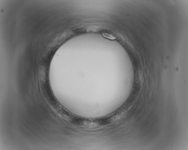 X0000083660311200702261148