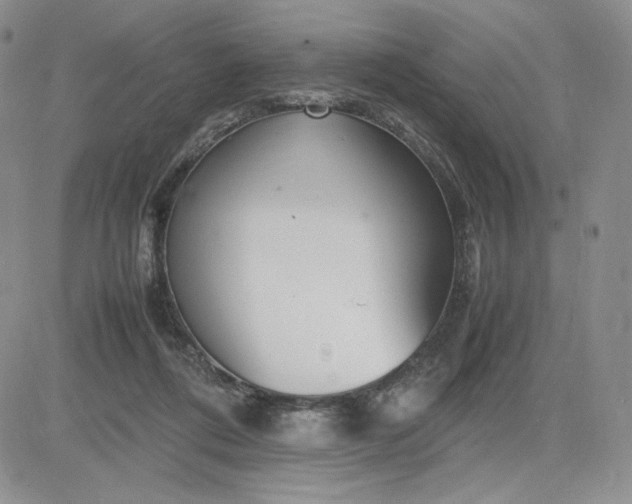 X0000083660312200702261148