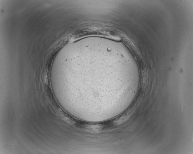 X0000083660313200702261148