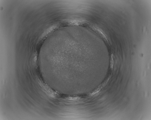 X0000083660314200702261148