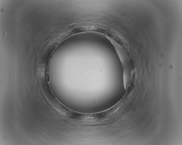 X0000083660315200702261148