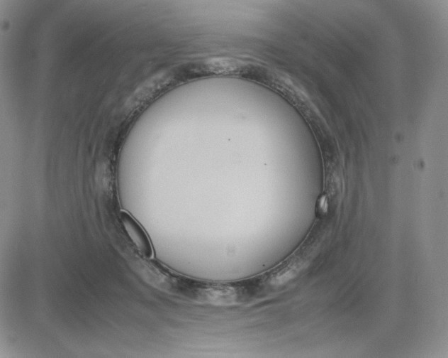 X0000083660317200702261148