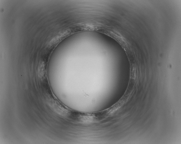 X0000083660318200702261148