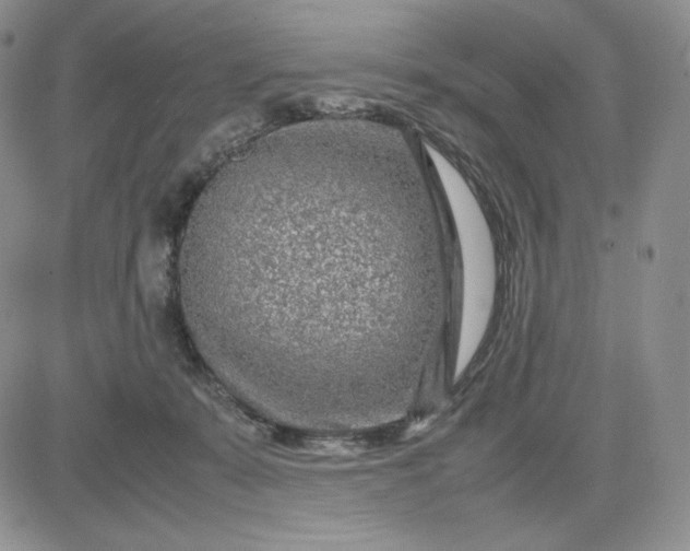 X0000083660319200702261148