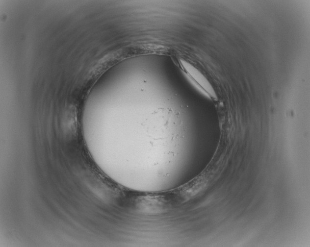 X0000083660320200702261148