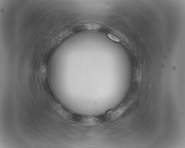 X0000083660321200702261148