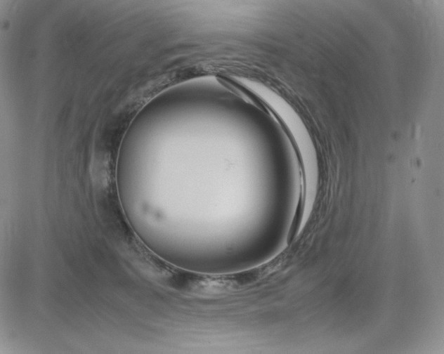 X0000083660323200702261148