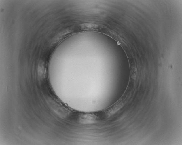 X0000083660324200702261148