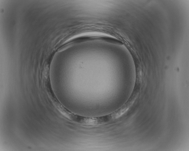 X0000083660325200702261148