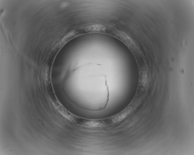 X0000083660326200702261148