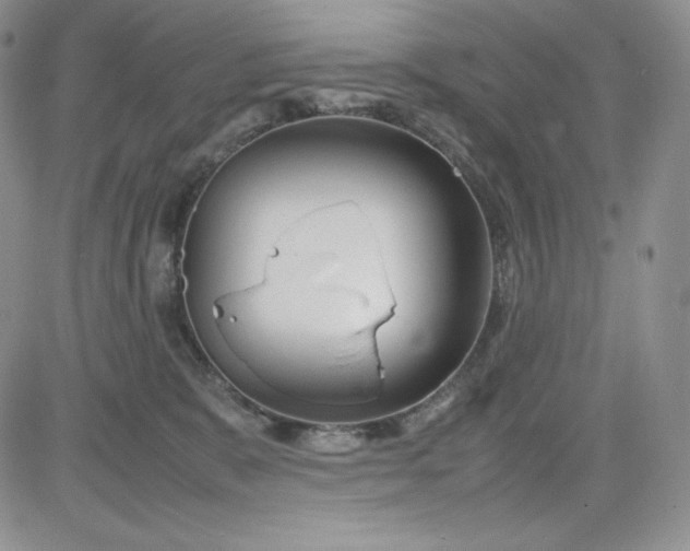 X0000083660327200702261148