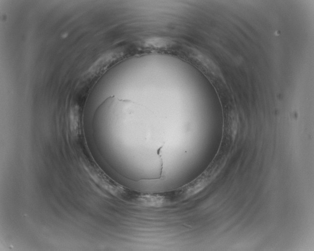 X0000083660328200702261148